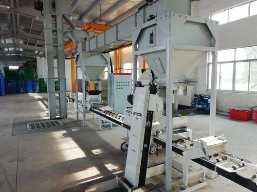 科技赋能农桑，我市首座工厂化水稻集中育秧中心引领智能化新篇章